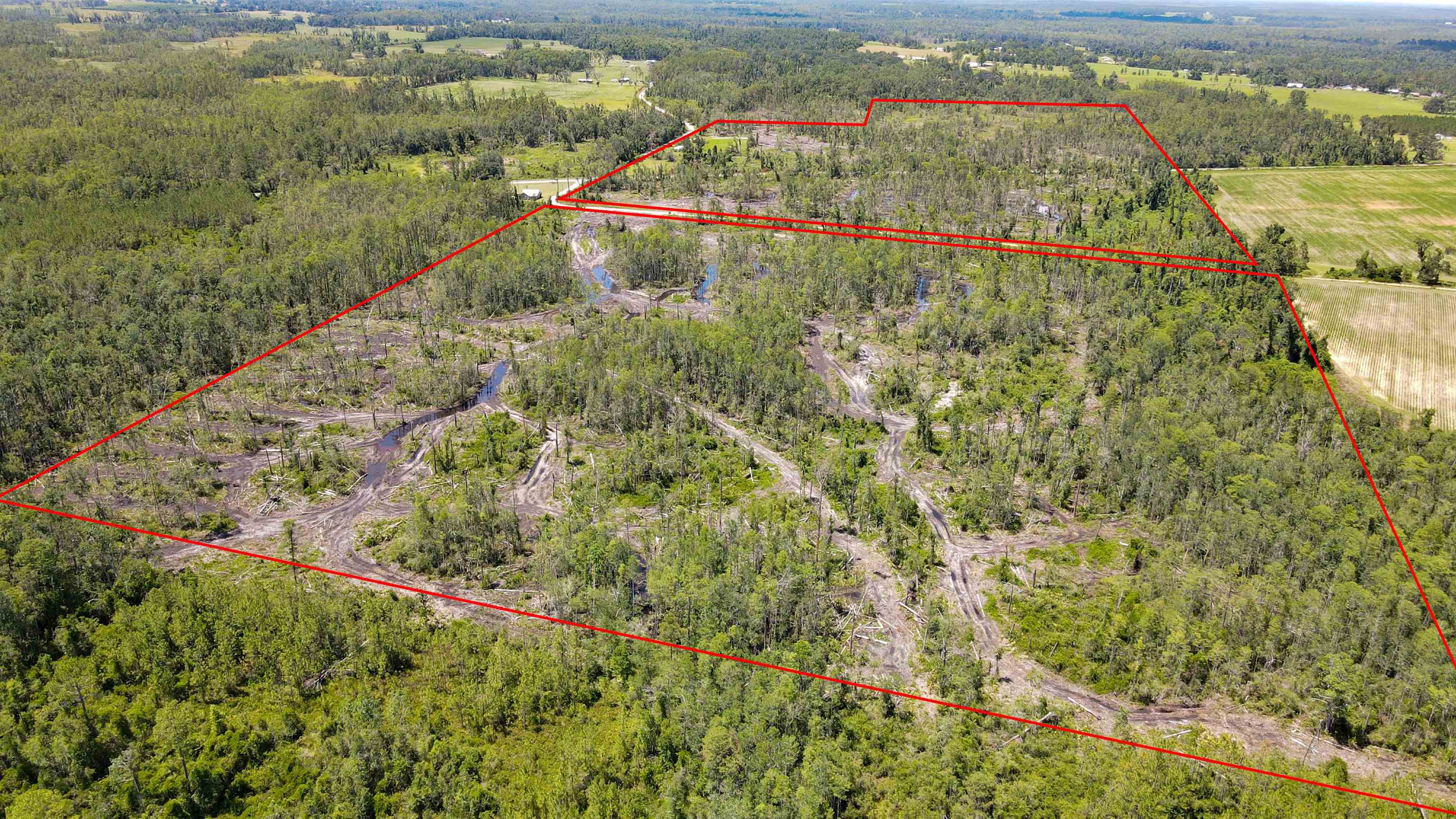 1217 Southwest Caleb Avenue Madison, FL 32340 - Photo 11 of 16