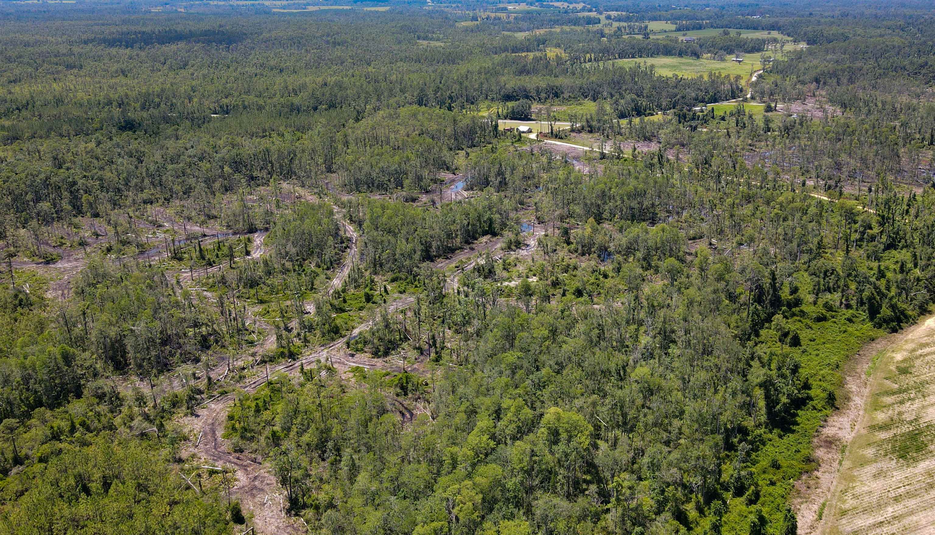 1217 Southwest Caleb Avenue Madison, FL 32340 - Photo 12 of 16