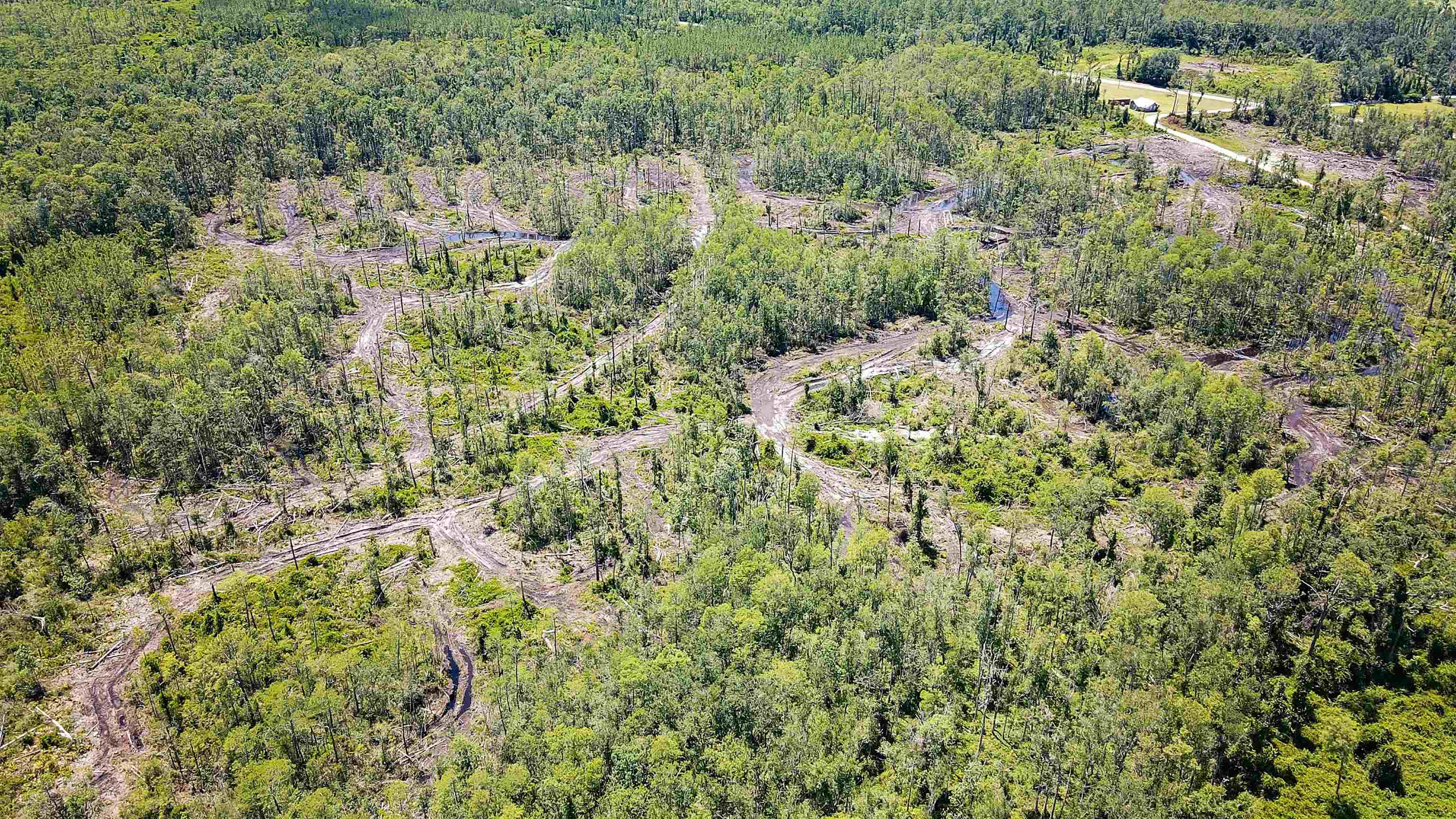 1217 Southwest Caleb Avenue Madison, FL 32340 - Photo 13 of 16