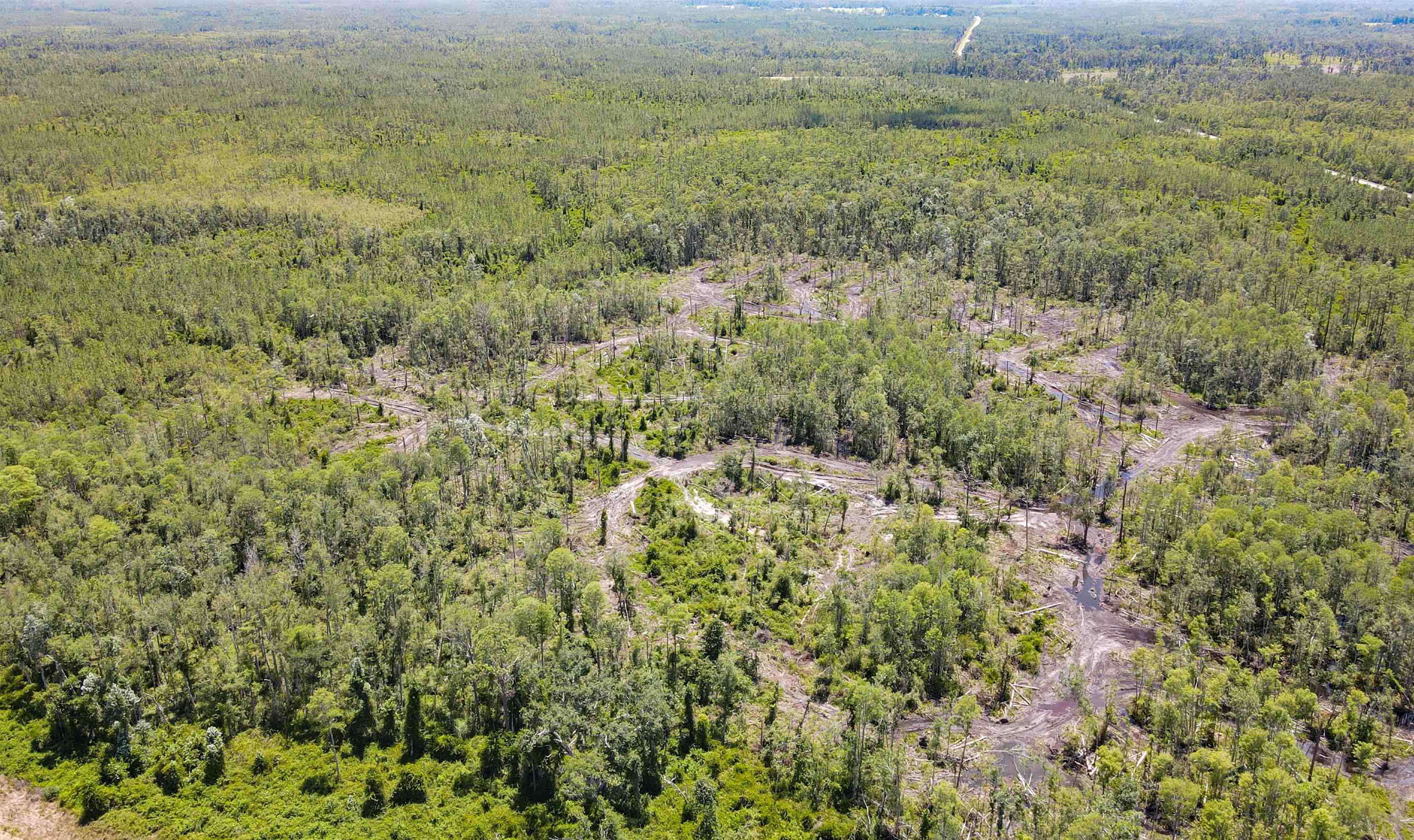 1217 Southwest Caleb Avenue Madison, FL 32340 - Photo 14 of 16