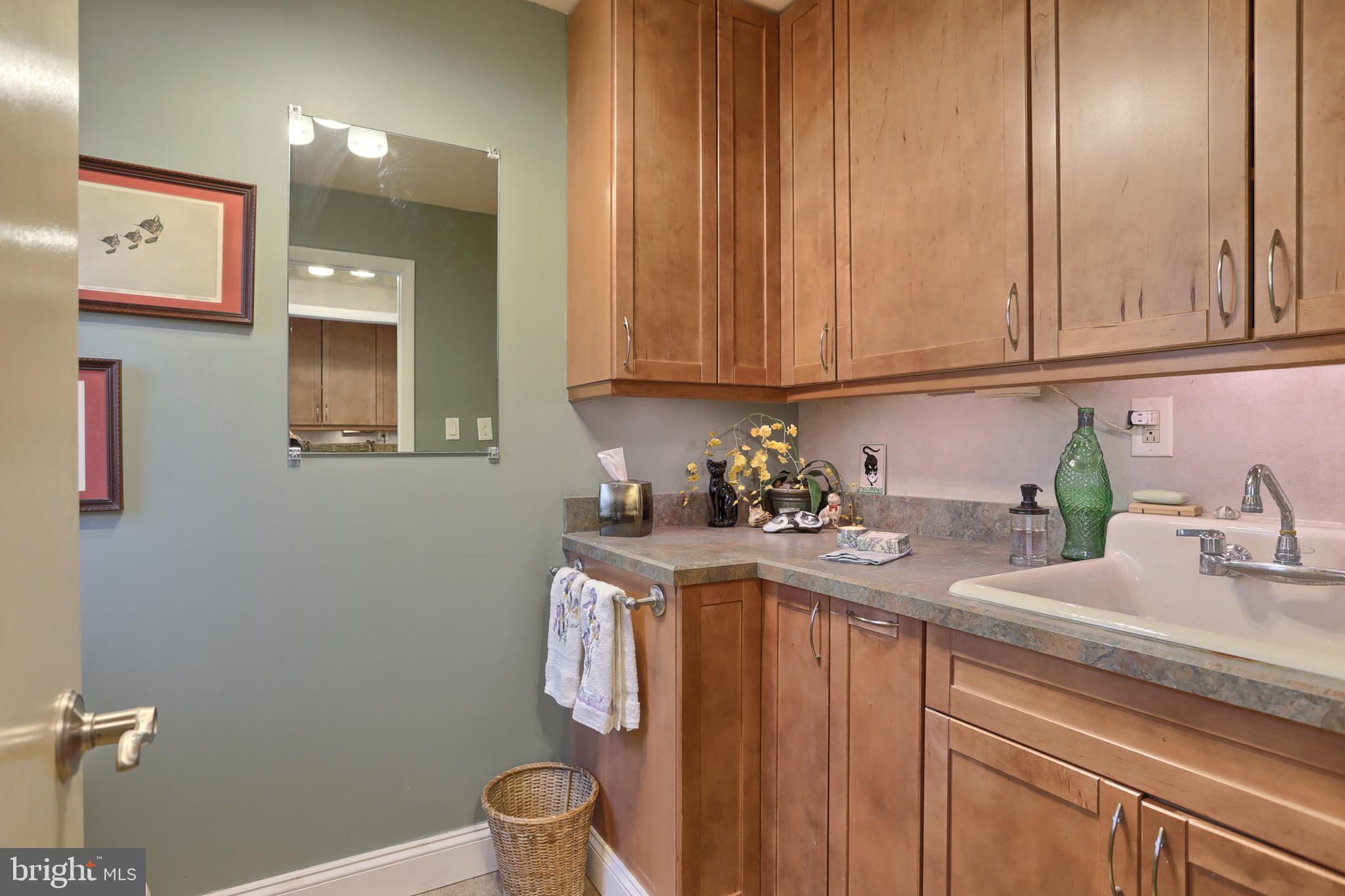 36 Banbury Road Hummelstown, PA 17036 - Photo 18 of 53 Powder Room/work sink and storage