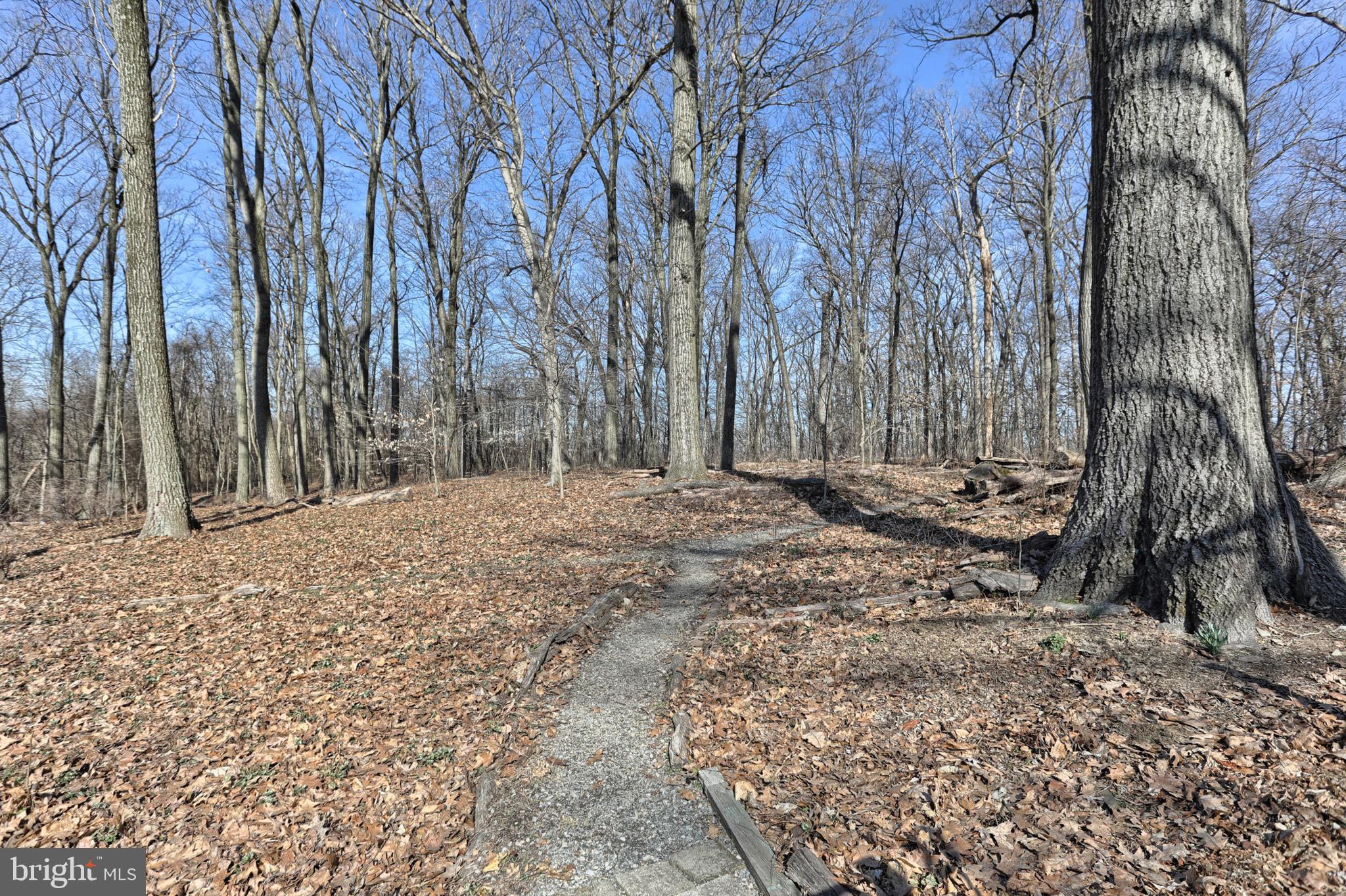 36 Banbury Road Hummelstown, PA 17036 - Photo 38 of 53 Path to woods