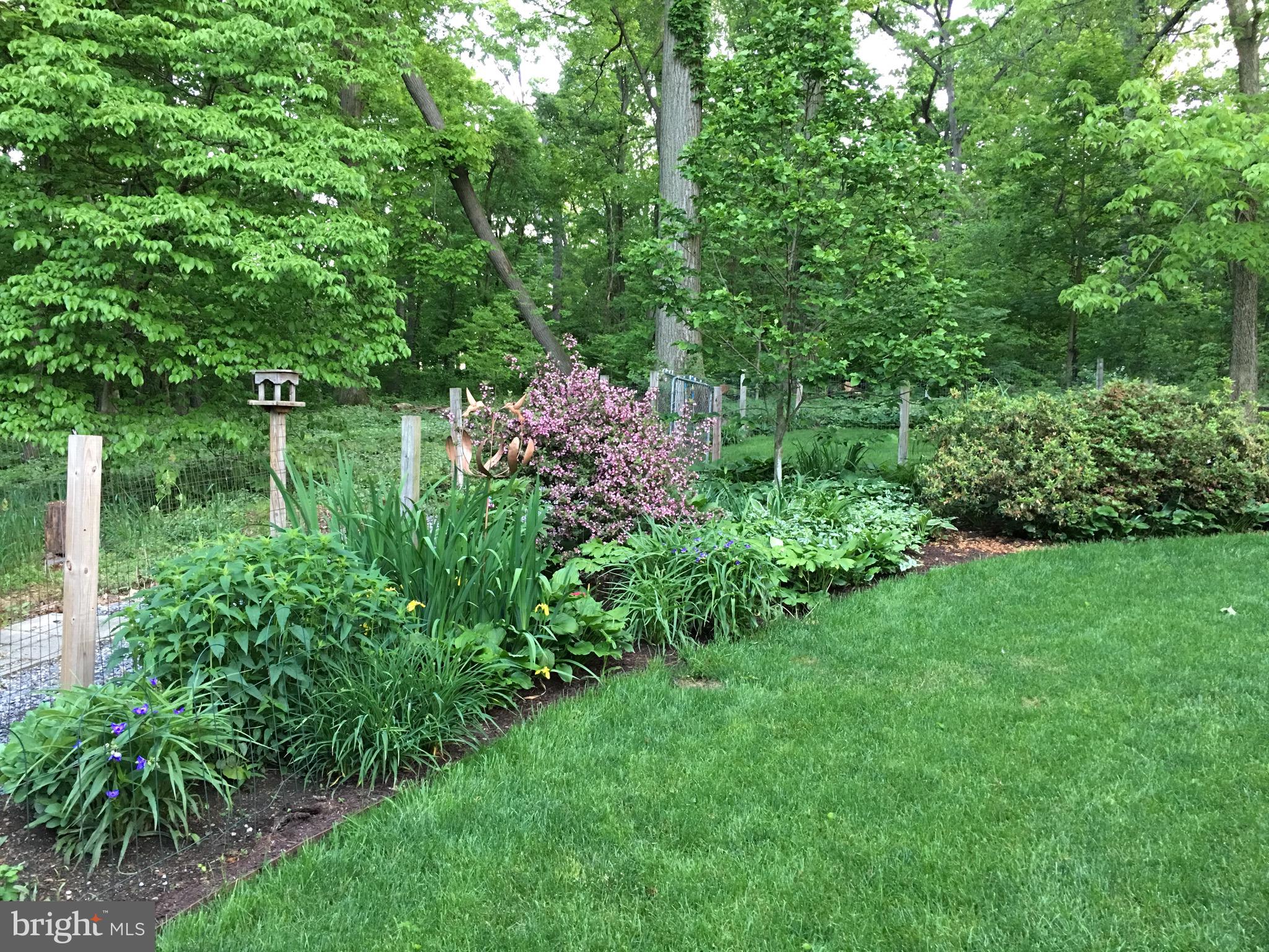 36 Banbury Road Hummelstown, PA 17036 - Photo 46 of 53 Plants to enjoy!