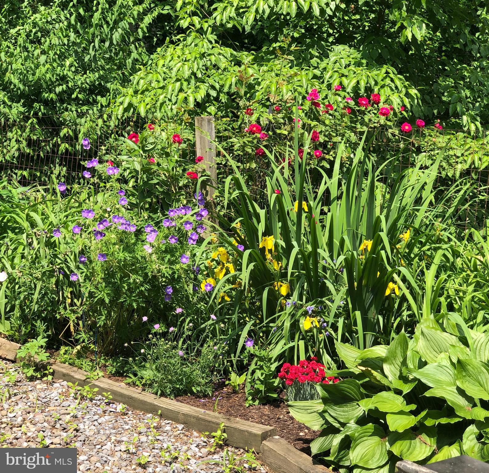 36 Banbury Road Hummelstown, PA 17036 - Photo 47 of 53 Perennials for color