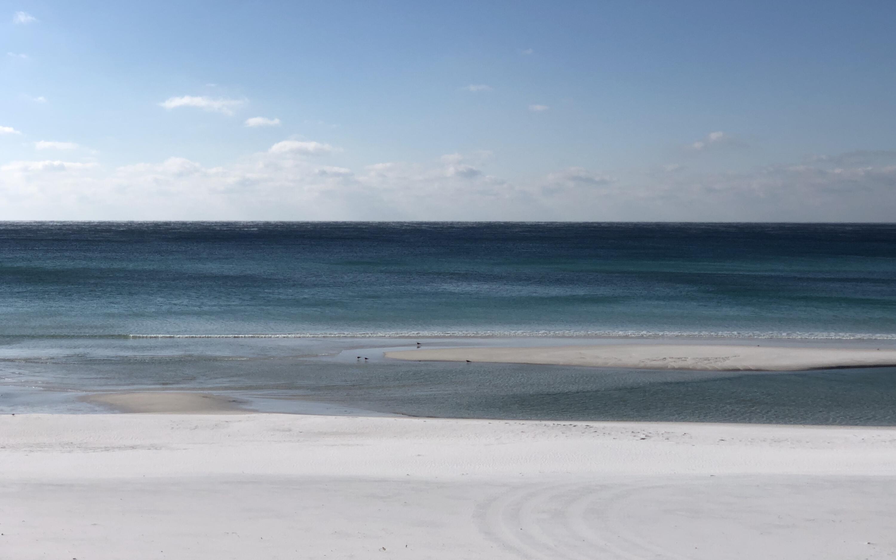 67 Sarasota Street Miramar Beach, FL 32550 - Photo 58 of 61 IMG_2132