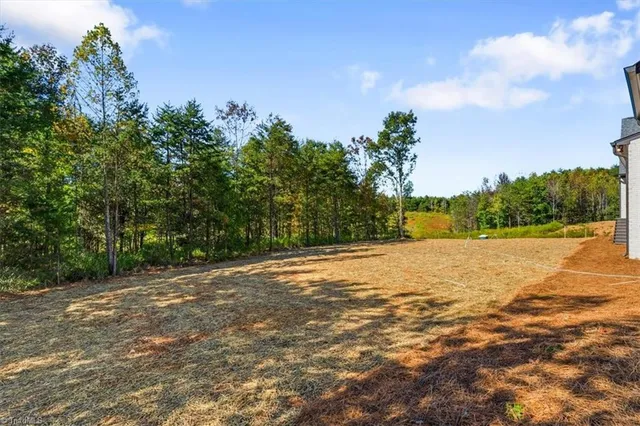 $1,660,000 | 7539 Shadow Creek Drive, Summerfield, NC 27358