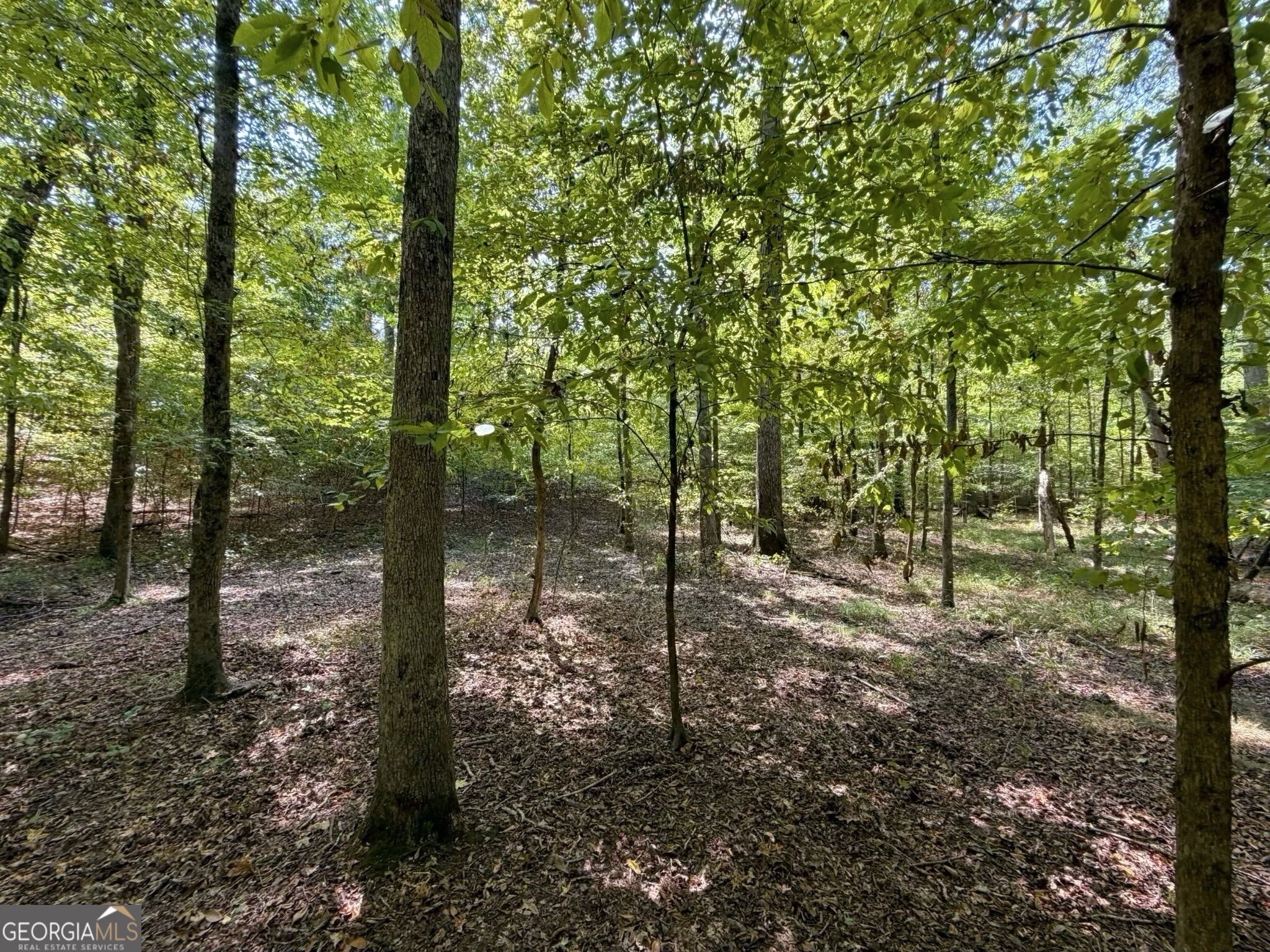 11 Bunch Road Tignall, GA 30668 - Photo 67 of 81 Gallery Image 67