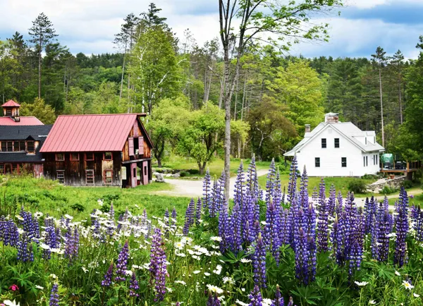 $1,600,000 | 4669 Vermont Rte 100, Londonderry, VT 05148
