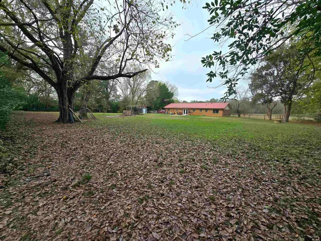 a view of backyard with green space