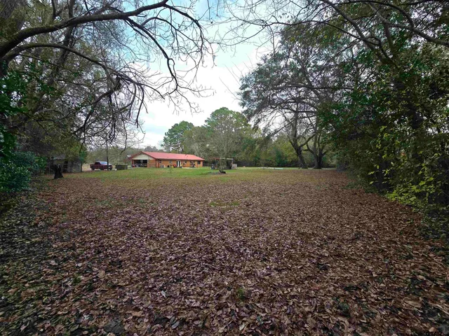 a view of a field with large trees