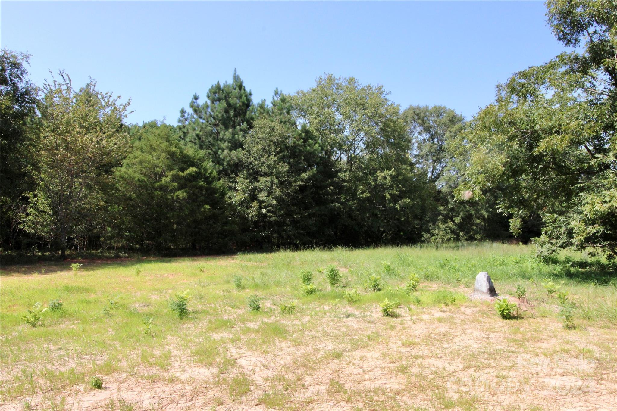 4631 Simpson Road Edgemoor, SC 29712 - Photo 10 of 35 a view of swimming pool of a yard