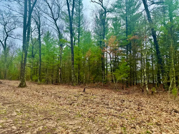 $58,450 | 1127 Chicago Drive, Unit 19, Whitehall, MI 49461