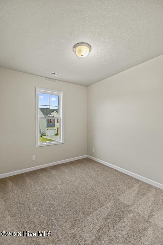 359 Frisco Way Holly Ridge, NC 28445 - Photo 25 of 38 425A4601