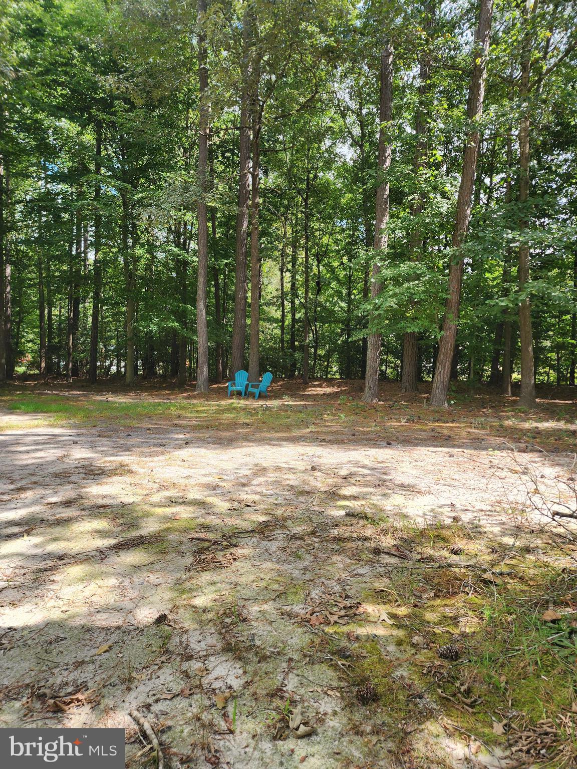 12120 Loblolly Road Ruther Glen, VA 22546 - Photo 18 of 18 Extra Private Lot Included in Sale of Home