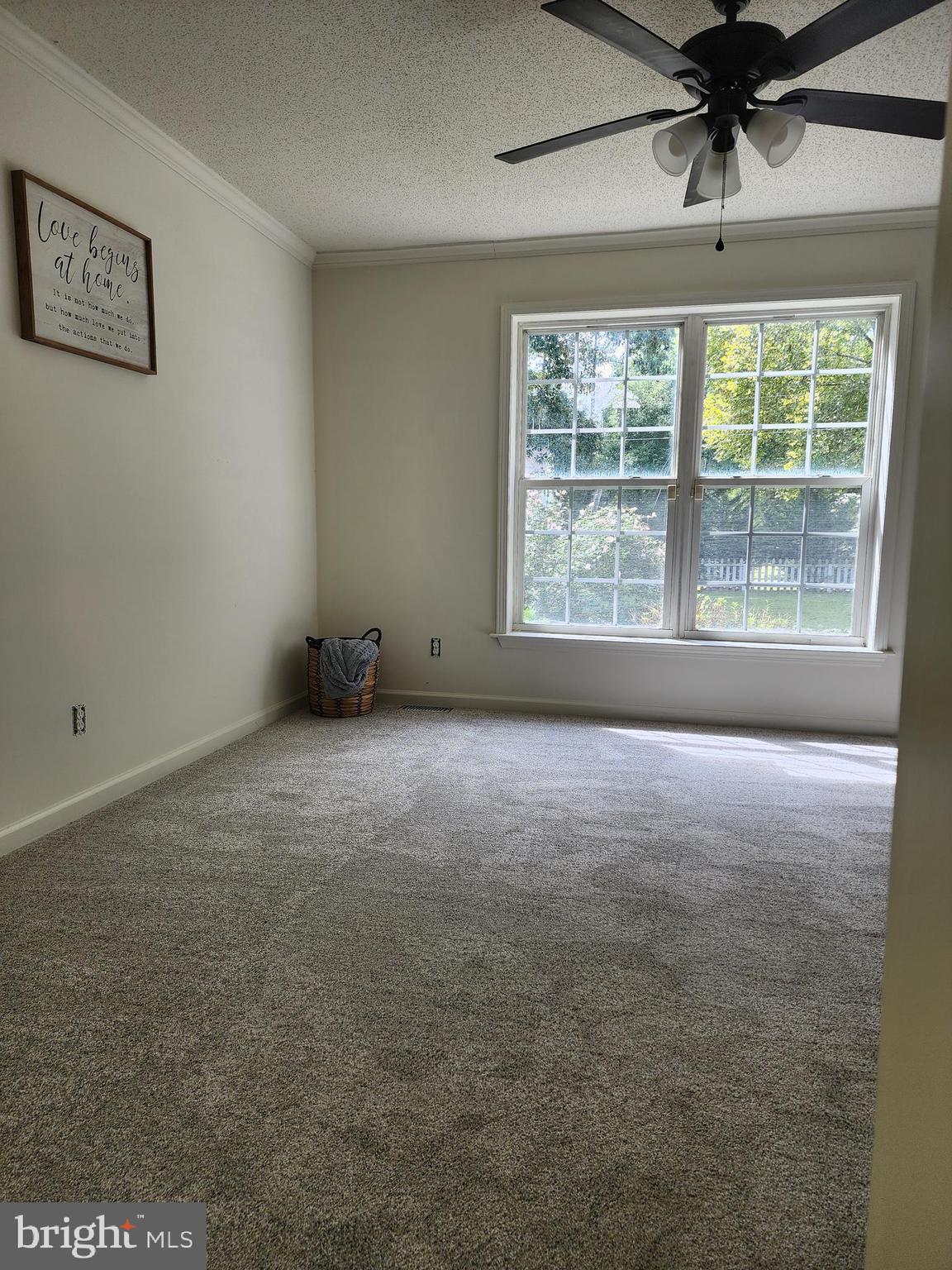 12120 Loblolly Road Ruther Glen, VA 22546 - Photo 9 of 18 Primary Bedroom