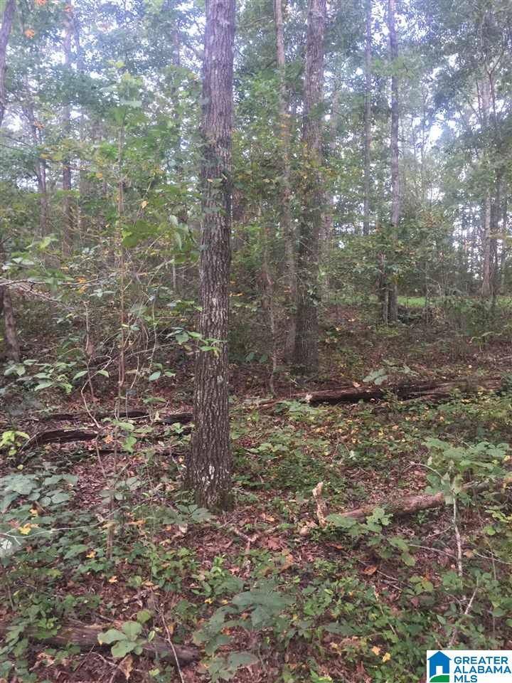 241 Sulphur Springs Road, Unit 9 89 ACRES Lincoln, AL 35096 - Photo 20 of 44