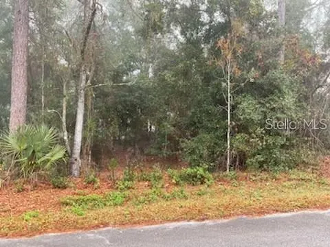 $27,000 | 0 Southeast 99th Avenue, Belleview, FL 34420