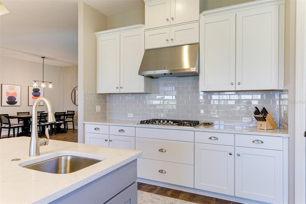 5006 Tivoli Run Lakewood Ranch, FL 34211 - Photo 9 of 60