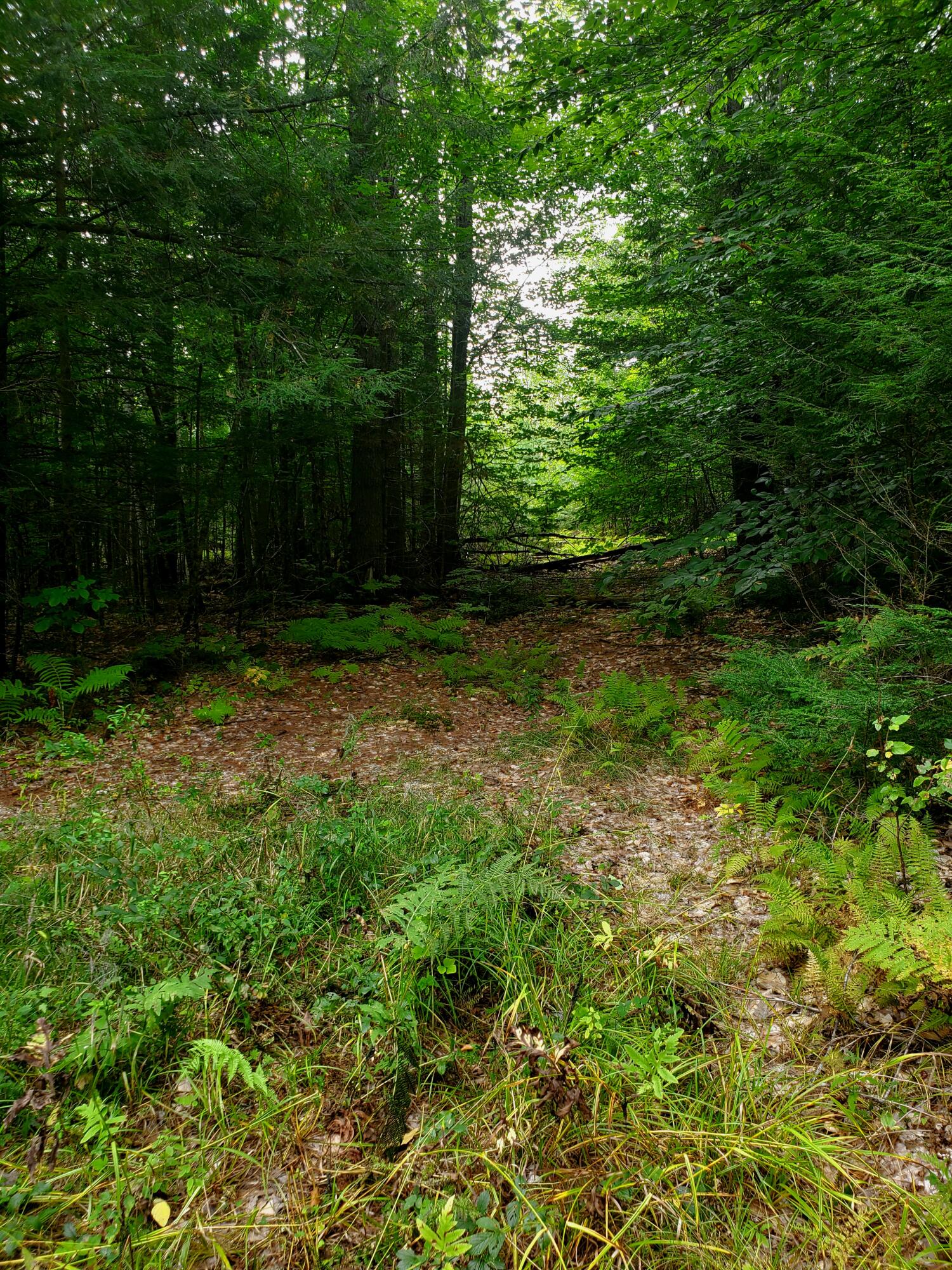3-3a Old Middle Road Parsonsfield, ME 04047 - Photo 5 of 14 20220911_123248