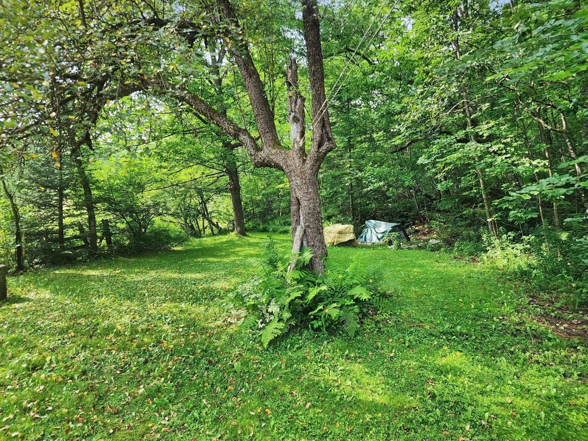 816 Tucker Mountain Road Newbury, VT 05040 - Photo 5 of 29 Gallery Image 5