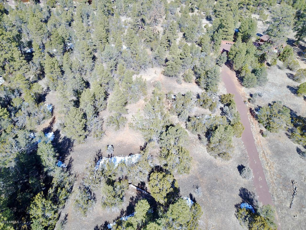3034 Aspen Road, Unit 47 Overgaard, AZ 85933 - Photo 11 of 14 DJI_0553