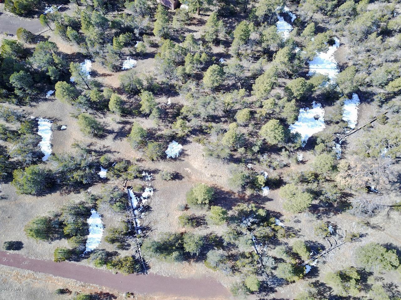 3034 Aspen Road, Unit 47 Overgaard, AZ 85933 - Photo 13 of 14 DJI_0562