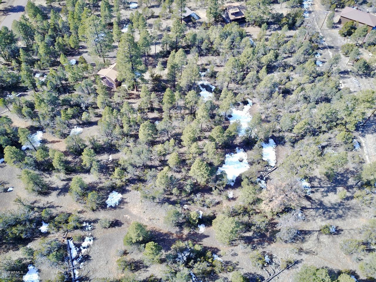 3034 Aspen Road, Unit 47 Overgaard, AZ 85933 - Photo 14 of 14 DJI_0565