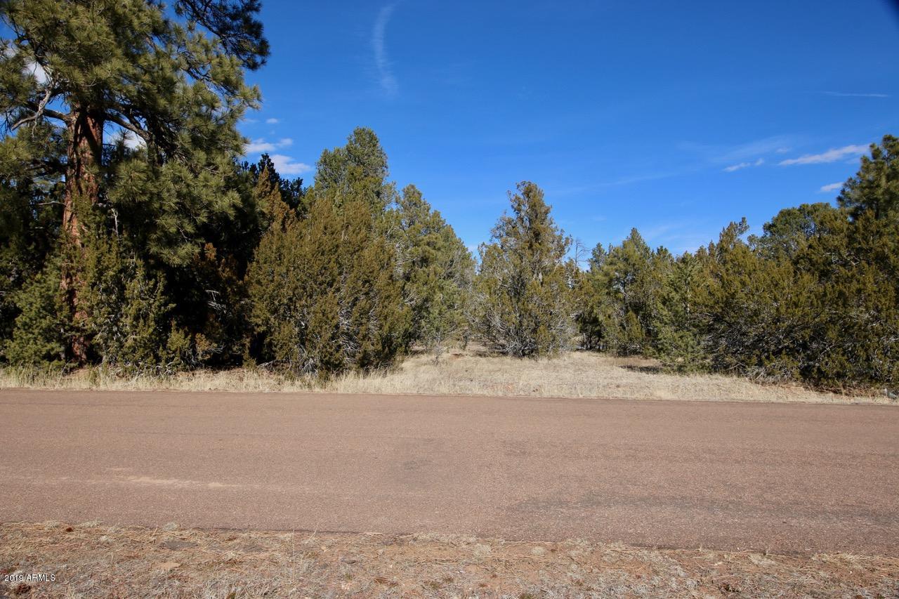 3034 Aspen Road, Unit 47 Overgaard, AZ 85933 - Photo 3 of 14 3