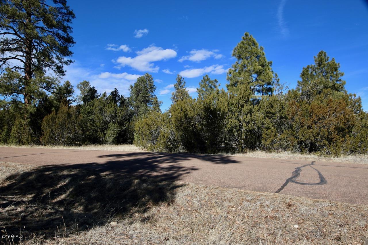 3034 Aspen Road, Unit 47 Overgaard, AZ 85933 - Photo 4 of 14 4