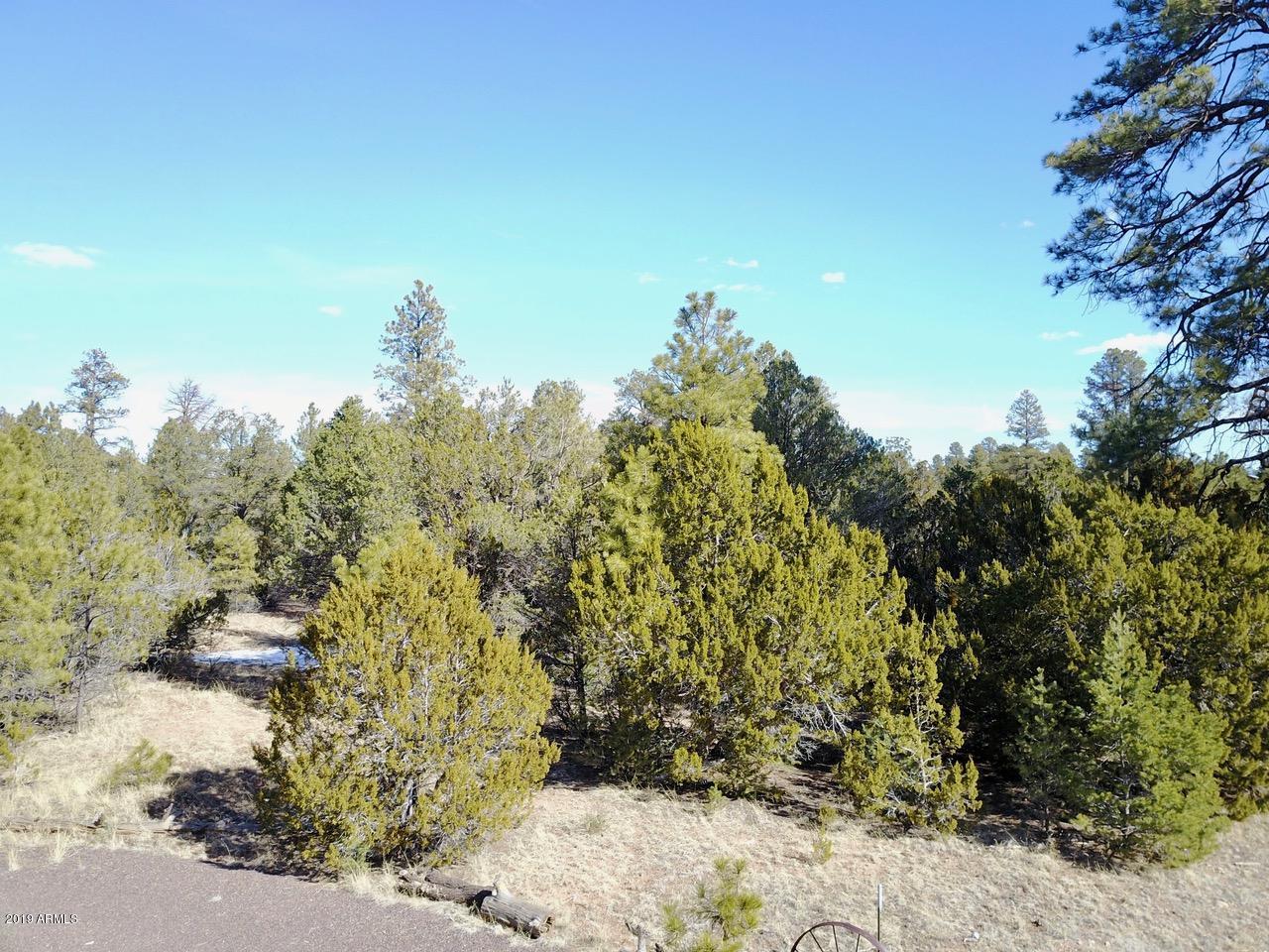 3034 Aspen Road, Unit 47 Overgaard, AZ 85933 - Photo 7 of 14 DJI_0546