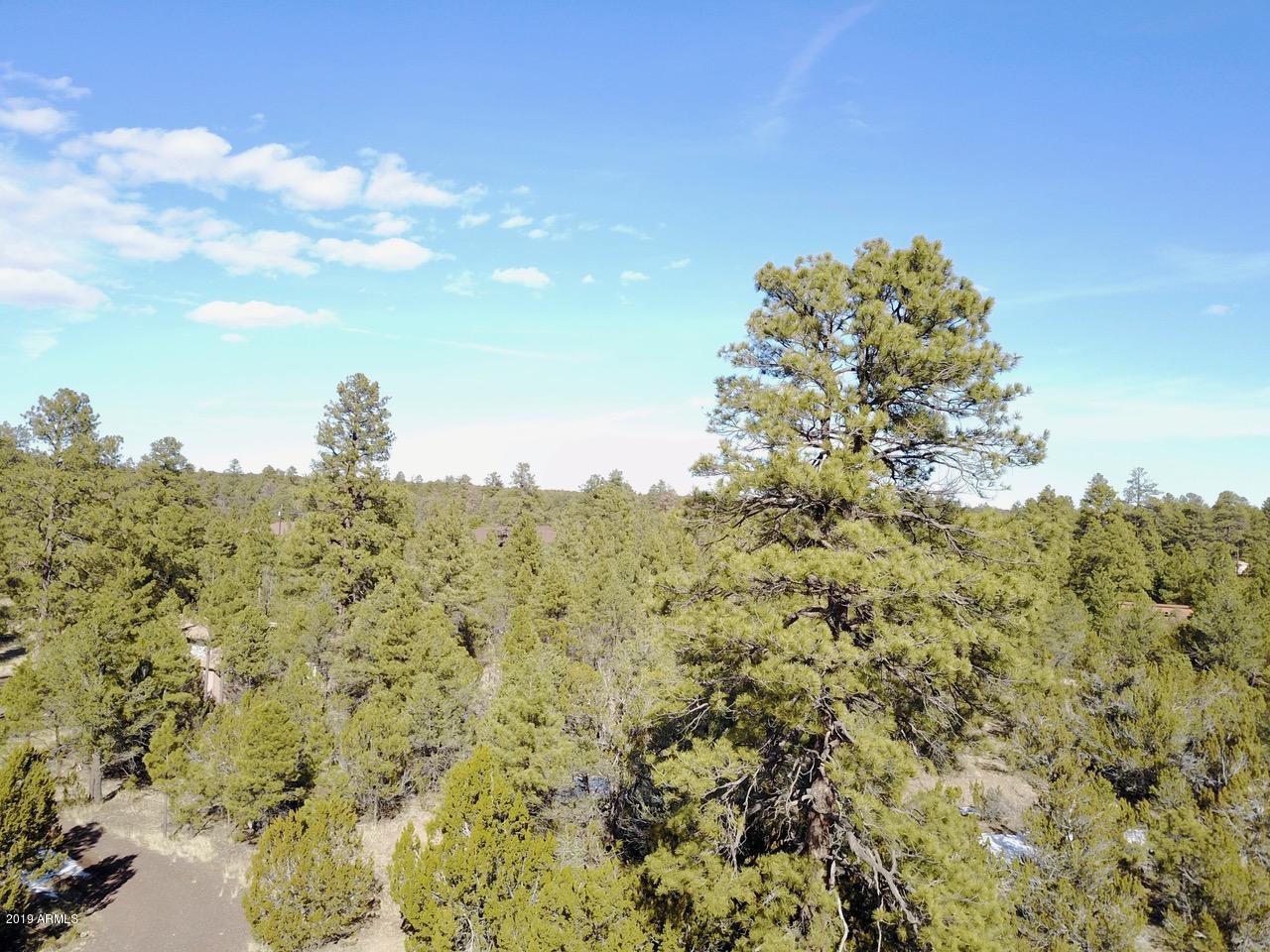 3034 Aspen Road, Unit 47 Overgaard, AZ 85933 - Photo 8 of 14 DJI_0547