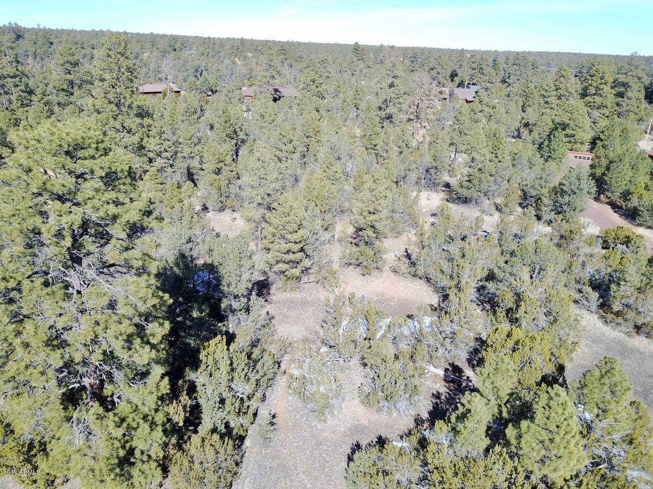 3034 Aspen Road, Unit 47 Overgaard, AZ 85933 - Photo 9 of 14 DJI_0550