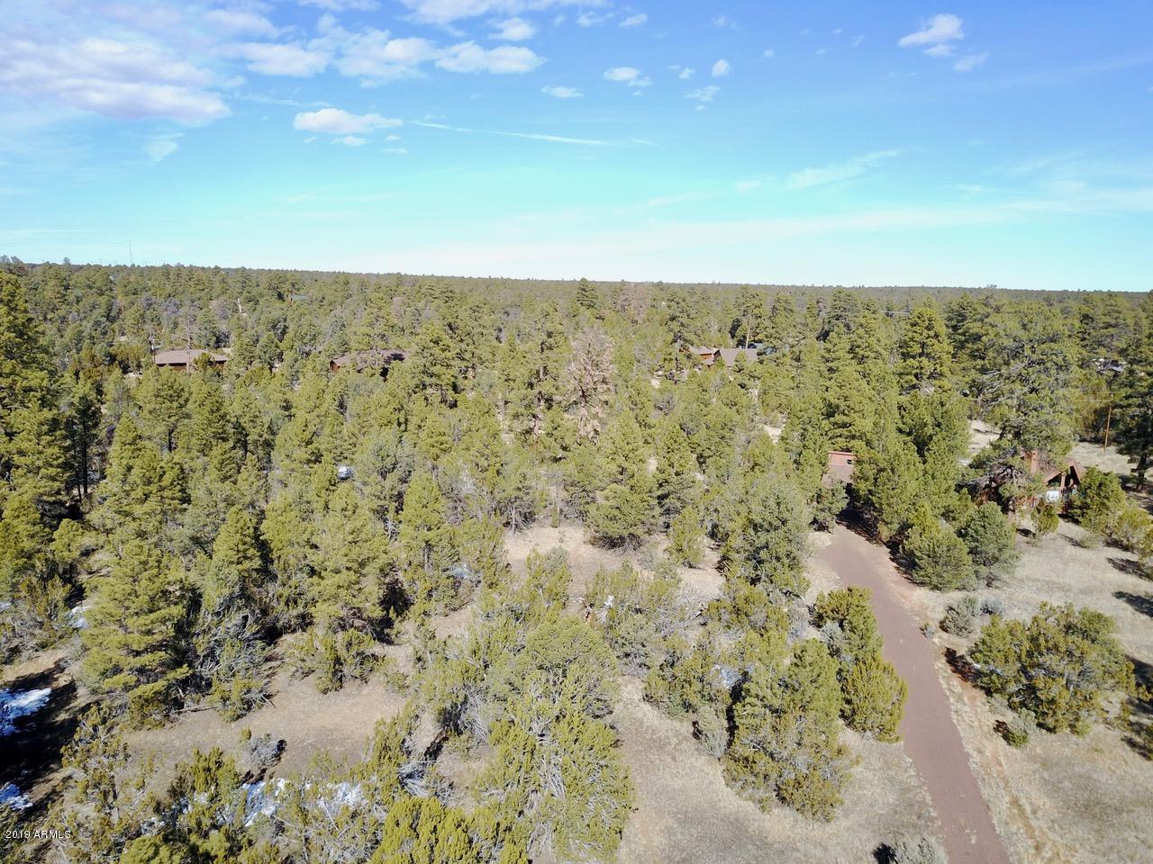3034 Aspen Road, Unit 47 Overgaard, AZ 85933 - Photo 10 of 14 DJI_0552
