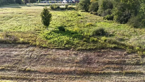 a view of a water pond with green space