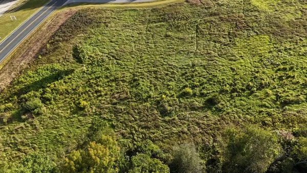 a close up of a plant