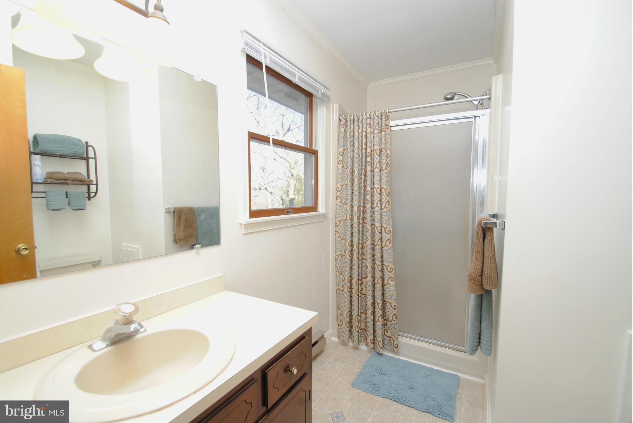 2706 Riverview Drive Riva, MD 21140 - Photo 21 of 30 Bath (Master)