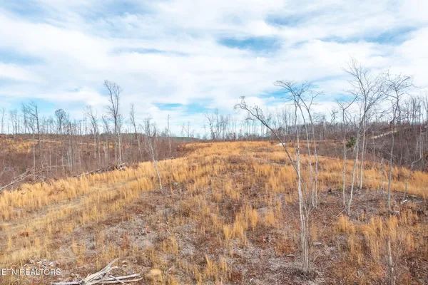 $99,000 | Flat Rock Road Road, Jamestown, TN 38556