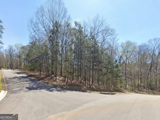 a view of a forest with trees in the background