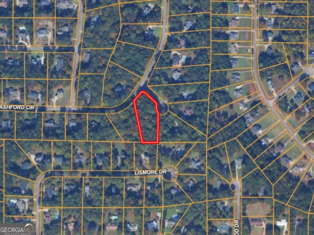 a flag is in the middle of a forest