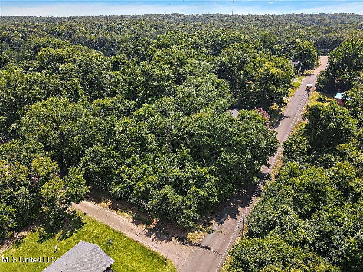 Bennett Street Yazoo City, MS 39194 - Photo 3 of 8 6-DJI_0290