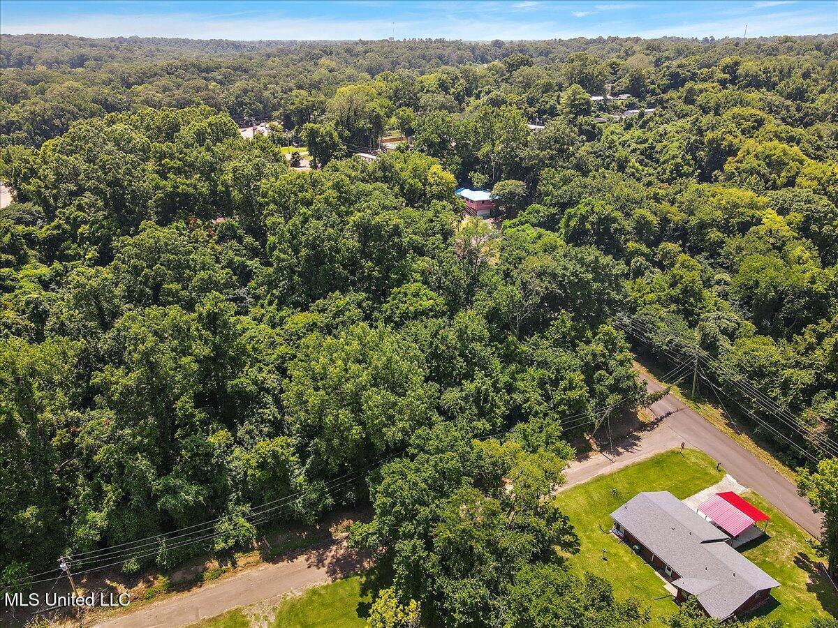 Bennett Street Yazoo City, MS 39194 - Photo 4 of 8 5-DJI_0293