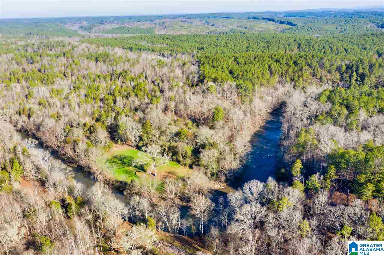 0 County Road 8, Unit 1 Clanton, AL 35045 - Photo 19 of 30