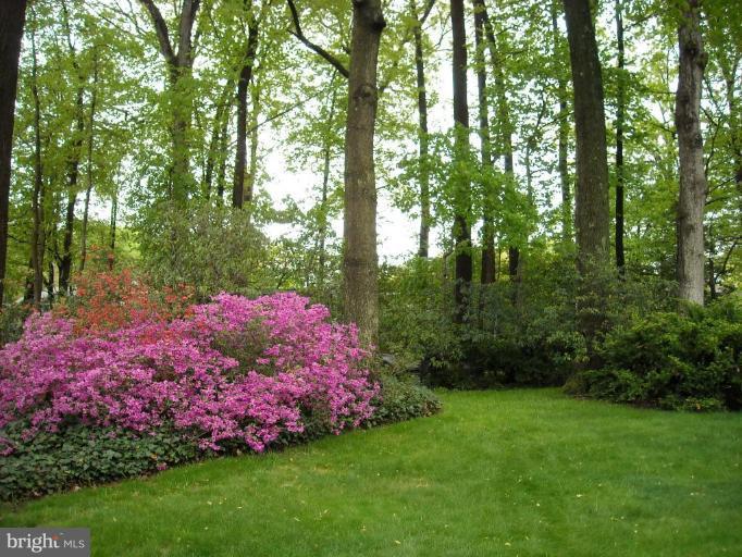 6113 Goodman Road Laurel, MD 20707 - Photo 2 of 15 Back yard