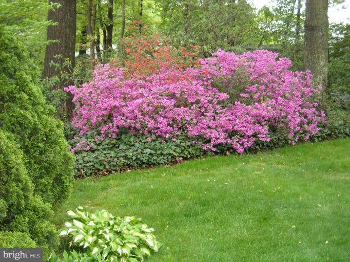 6113 Goodman Road Laurel, MD 20707 - Photo 3 of 15 Garden #2