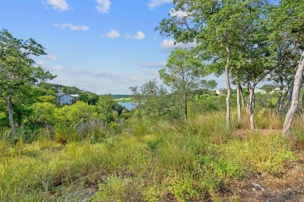 200 Contrails Way Spicewood, TX 78669 - Photo 10 of 27