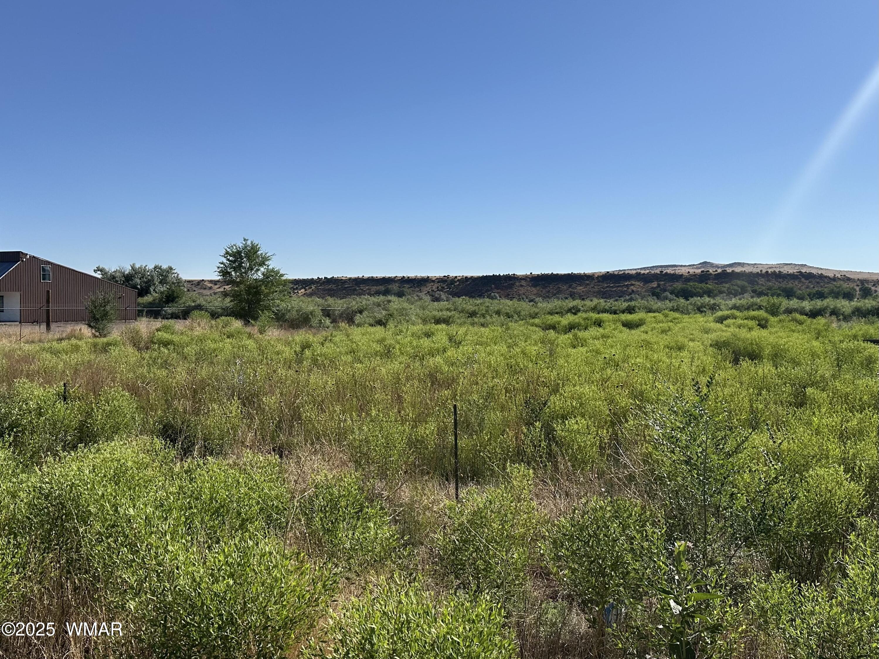 a view of a green field with lots of bushes