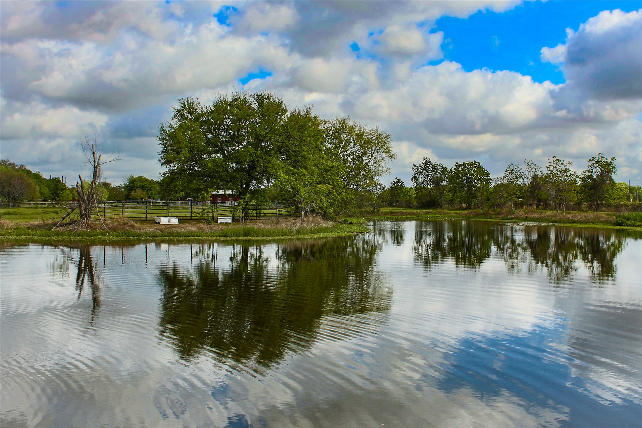 26435 Clay Road Katy, TX 77493 - Photo 5 of 13