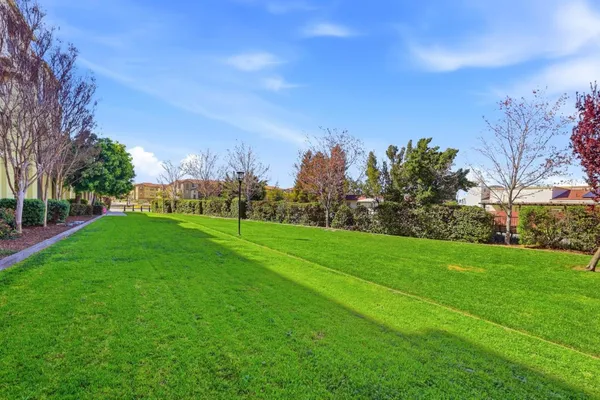 a view of a field with large trees