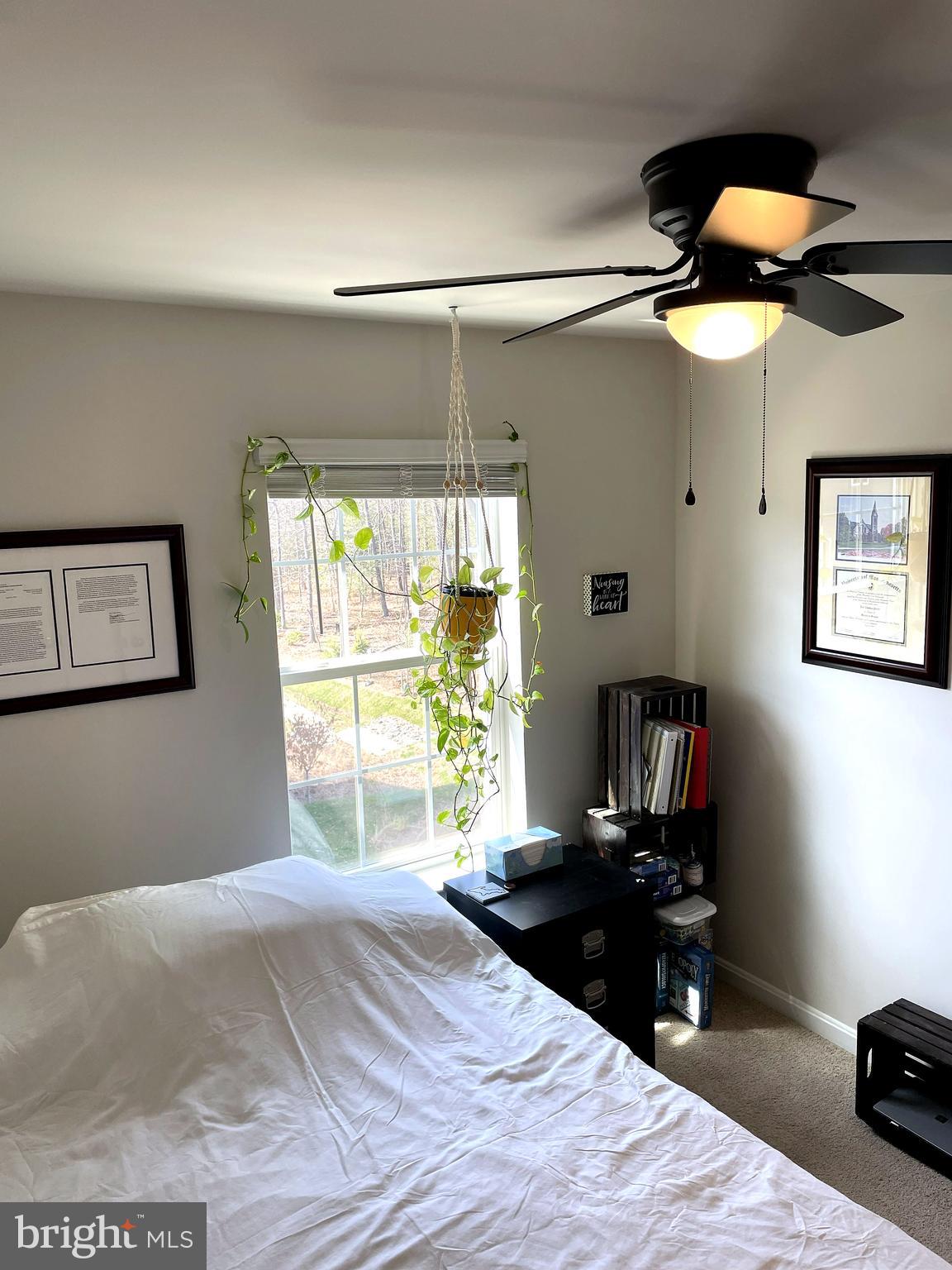 6510 Spoonbill Way Clinton, MD 20735 - Photo 49 of 87
