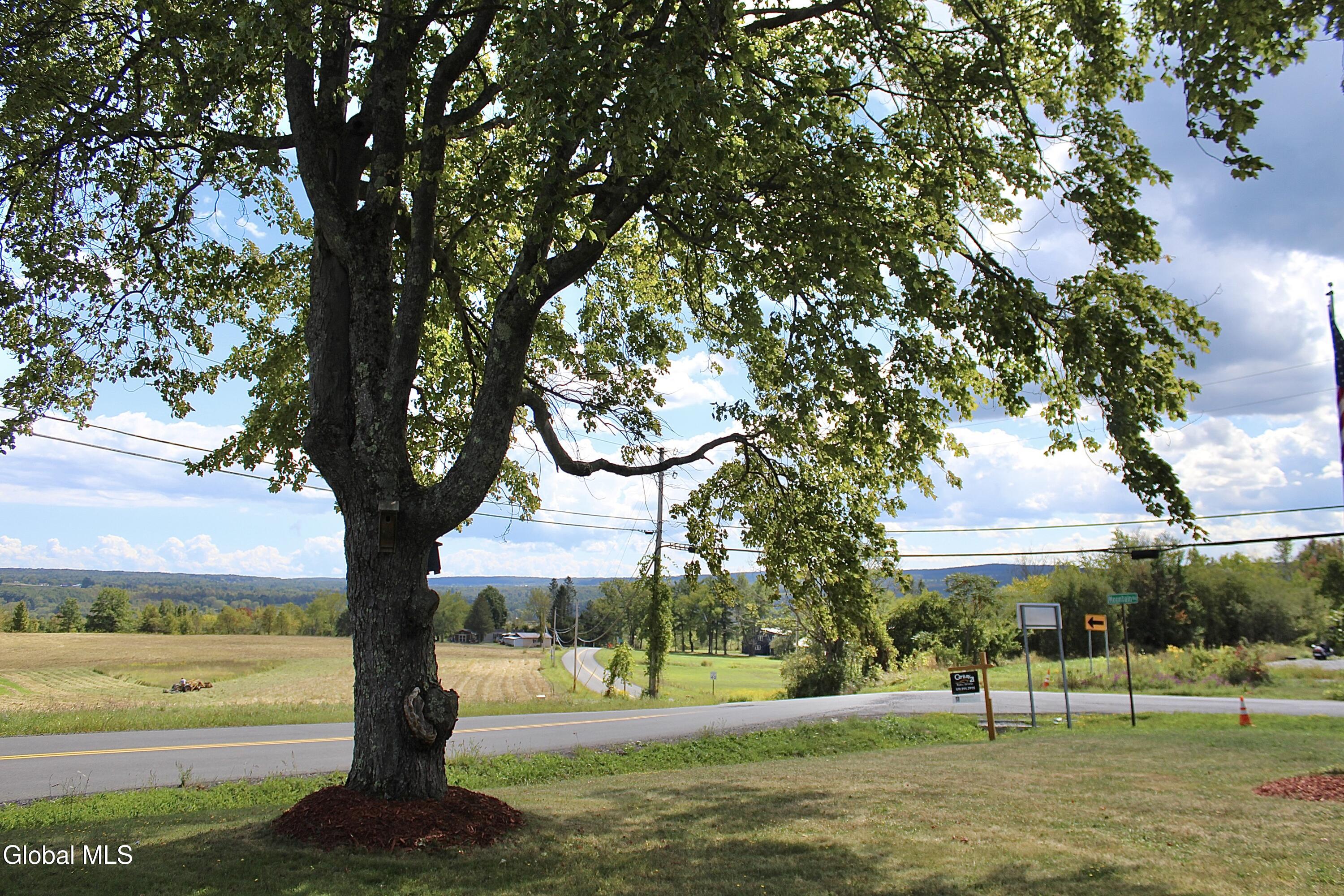 263 Conover Road Esperance, NY 12066 - Photo 105 of 118 IMG_4634